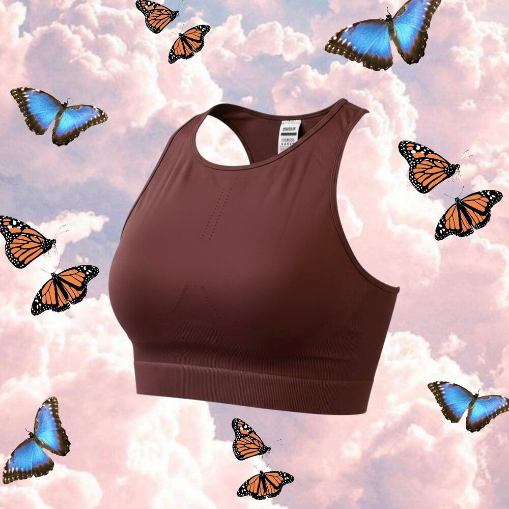 Gymshark Burgundy Seamless Bra Top